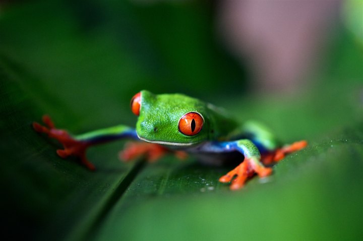 trevor-cole-393228-unsplash